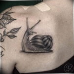 Фото тату улитка 28.07.2019 №182 - snail tattoo - tattoo-photo.ru