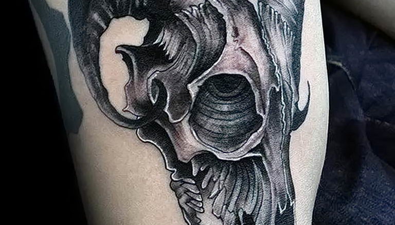 Фото тату череп козла 28.07.2019 №004 - goat skull tattoo - tattoo-photo.ru