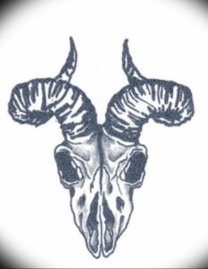 Фото тату череп козла 28.07.2019 №010 - goat skull tattoo - tattoo-photo.ru