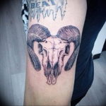 Фото тату череп козла 28.07.2019 №012 - goat skull tattoo - tattoo-photo.ru