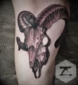 Фото тату череп козла 28.07.2019 №046 - goat skull tattoo - tattoo-photo.ru