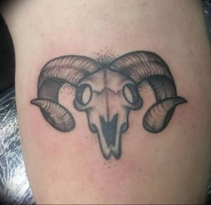 Фото тату череп козла 28.07.2019 №057 - goat skull tattoo - tattoo-photo.ru