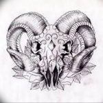 Фото тату череп козла 28.07.2019 №074 - goat skull tattoo - tattoo-photo.ru