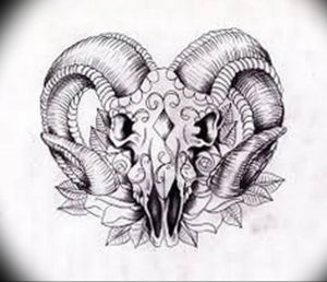 Фото тату череп козла 28.07.2019 №074 - goat skull tattoo - tattoo-photo.ru