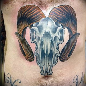 Фото тату череп козла 28.07.2019 №084 - goat skull tattoo - tattoo-photo.ru