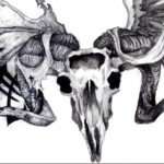Фото тату череп козла 28.07.2019 №089 - goat skull tattoo - tattoo-photo.ru