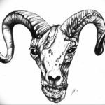 Фото тату череп козла 28.07.2019 №093 - goat skull tattoo - tattoo-photo.ru