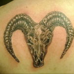 Фото тату череп козла 28.07.2019 №108 - goat skull tattoo - tattoo-photo.ru