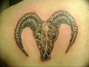 Фото тату череп козла 28.07.2019 №108 - goat skull tattoo - tattoo-photo.ru