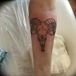 Фото тату череп козла 28.07.2019 №117 - goat skull tattoo - tattoo-photo.ru