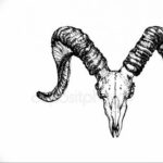Фото тату череп козла 28.07.2019 №124 - goat skull tattoo - tattoo-photo.ru