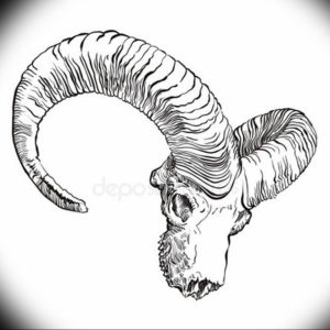 Фото тату череп козла 28.07.2019 №147 - goat skull tattoo - tattoo-photo.ru