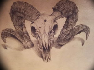 Фото тату череп козла 28.07.2019 №182 - goat skull tattoo - tattoo-photo.ru