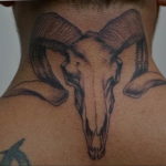 Фото тату череп козла 28.07.2019 №186 - goat skull tattoo - tattoo-photo.ru