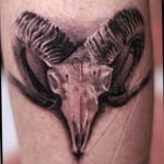 Фото тату череп козла 28.07.2019 №187 - goat skull tattoo - tattoo-photo.ru