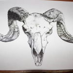 Фото тату череп козла 28.07.2019 №203 - goat skull tattoo - tattoo-photo.ru