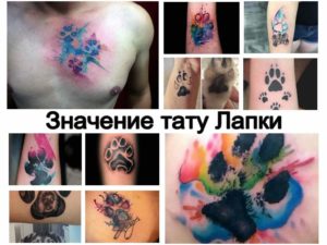 Значение тату Лапки - информация про особенности рисунка татуировки и коллекция фото примеров готовых татуировок