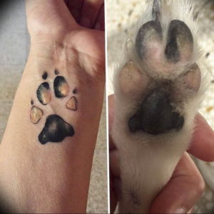 Фото тату лапка собаки 12.08.2019 №030 - dog paw tattoo - tattoo-photo.ru