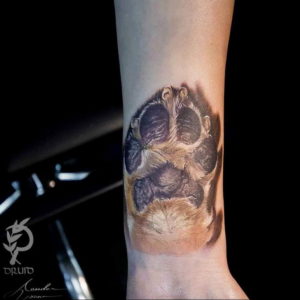 Фото тату лапки 12.08.2019 №059 - paw tattoo - tattoo-photo.ru
