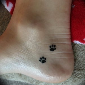 Фото тату для девушек лапки 12.08.2019 №005 - tattoo for girls paws - tattoo-photo.ru
