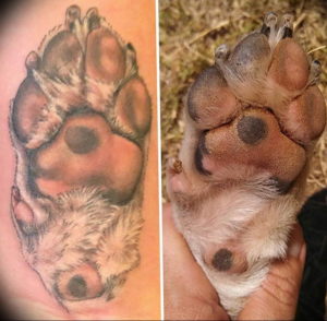 Фото тату лапка собаки 12.08.2019 №014 - dog paw tattoo - tattoo-photo.ru