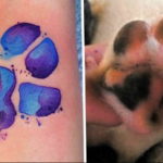 Фото тату лапка собаки 12.08.2019 №015 - dog paw tattoo - tattoo-photo.ru