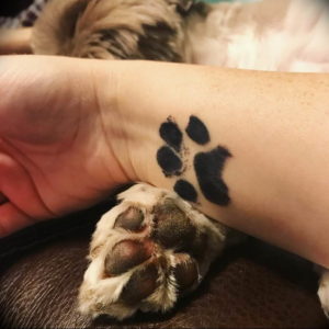 Фото тату лапка собаки 12.08.2019 №019 - dog paw tattoo - tattoo-photo.ru