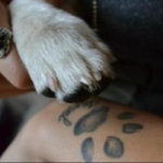 Фото тату лапка собаки 12.08.2019 №065 - dog paw tattoo - tattoo-photo.ru