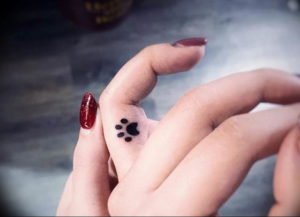Фото тату лапки 12.08.2019 №062 - paw tattoo - tattoo-photo.ru