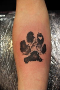 Фото тату лапки 12.08.2019 №069 - paw tattoo - tattoo-photo.ru