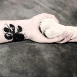 Фото тату лапки 12.08.2019 №090 - paw tattoo - tattoo-photo.ru