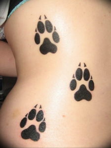 Фото тату лапки на животе 12.08.2019 №017 - paw tattoo on the stomach - tattoo-photo.ru