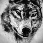 Фото волк тату эскиз 13.09.2019 №005 - wolf tattoo sketch - tattoo-photo.ru