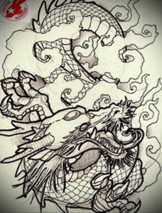 Фото дракон тату эскиз 13.09.2019 №030 - dragon tattoo sketch - tattoo-photo.ru