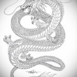 Фото дракон тату эскиз 13.09.2019 №035 - dragon tattoo sketch - tattoo-photo.ru