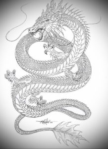 Фото дракон тату эскиз 13.09.2019 №035 - dragon tattoo sketch - tattoo-photo.ru