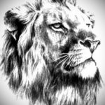 Фото лев тату эскиз 13.09.2019 №014 - lion tattoo sketch - tattoo-photo.ru