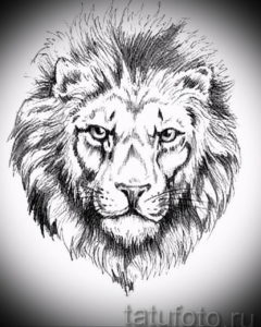 Фото лев тату эскиз 13.09.2019 №029 - lion tattoo sketch - tattoo-photo.ru