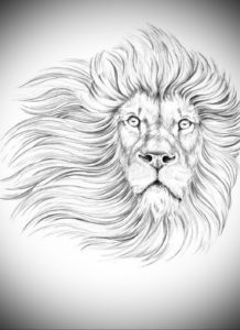 Фото лев тату эскиз 13.09.2019 №035 - lion tattoo sketch - tattoo-photo.ru