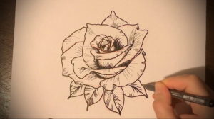 Фото роза тату эскиз 13.09.2019 №005 - rose tattoo sketch - tattoo-photo.ru