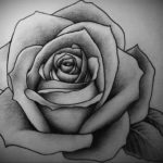 Фото роза тату эскиз 13.09.2019 №033 - rose tattoo sketch - tattoo-photo.ru