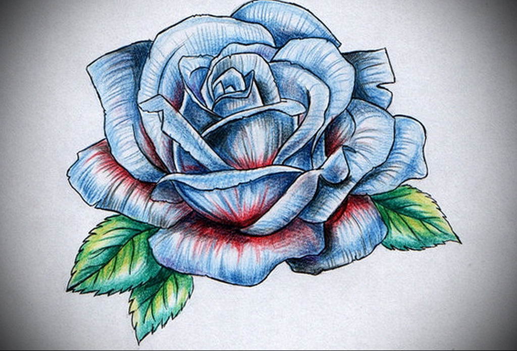 Синяя роза эскиз