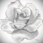 Фото эскизы тату цветы 13.09.2019 №008 - flower sketch designs - tattoo-photo.ru
