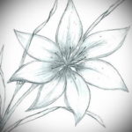 Фото эскизы тату цветы 13.09.2019 №017 - flower sketch designs - tattoo-photo.ru