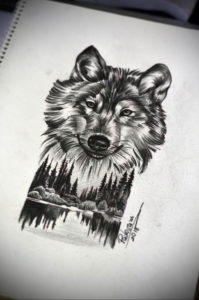 Фото волк тату эскиз 13.09.2019 №003 - wolf tattoo sketch - tattoo-photo.ru