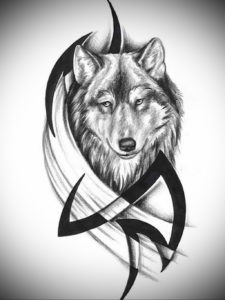 Фото волк тату эскиз 13.09.2019 №004 - wolf tattoo sketch - tattoo-photo.ru