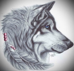 Фото волк тату эскиз 13.09.2019 №029 - wolf tattoo sketch - tattoo-photo.ru