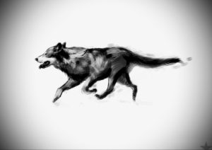 Фото волк тату эскиз 13.09.2019 №032 - wolf tattoo sketch - tattoo-photo.ru