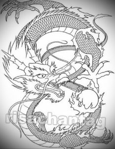 Фото дракон тату эскиз 13.09.2019 №011 - dragon tattoo sketch - tattoo-photo.ru