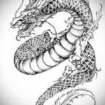 Фото дракон тату эскиз 13.09.2019 №012 - dragon tattoo sketch - tattoo-photo.ru